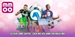 Cá cược bóng chuyền