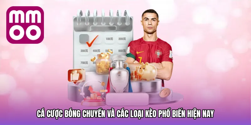 Cá cược bóng chuyền và các loại kèo phổ biến hiện nay