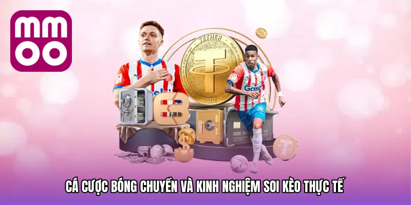 Cá cược bóng chuyền và kinh nghiệm soi kèo thực tế