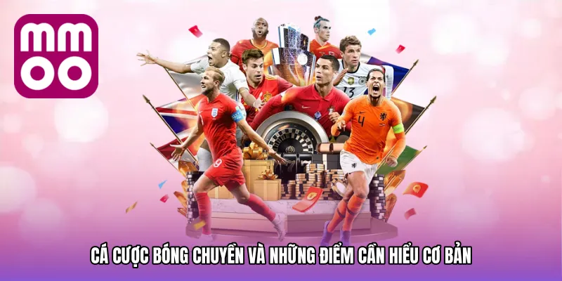 Cá cược bóng chuyền và những điểm cần hiểu cơ bản