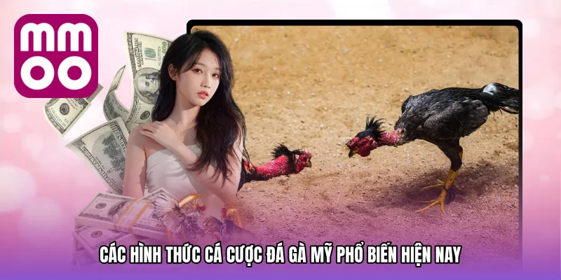 Các Hình Thức Cá Cược Đá gà mỹ Phổ Biến Hiện Nay