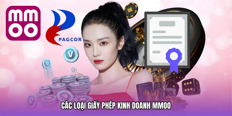 Các loại Giấy phép kinh doanh MMOO