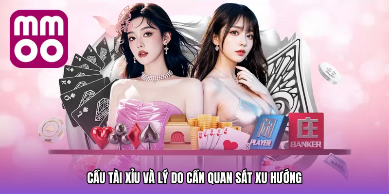 Cầu tài xỉu và lý do cần quan sát xu hướng