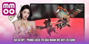 Đá gà mỹ