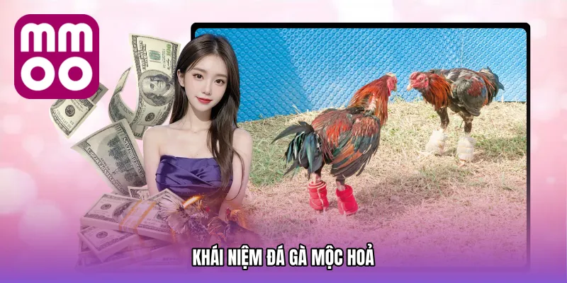 Khái niệm Đá gà mộc hoả