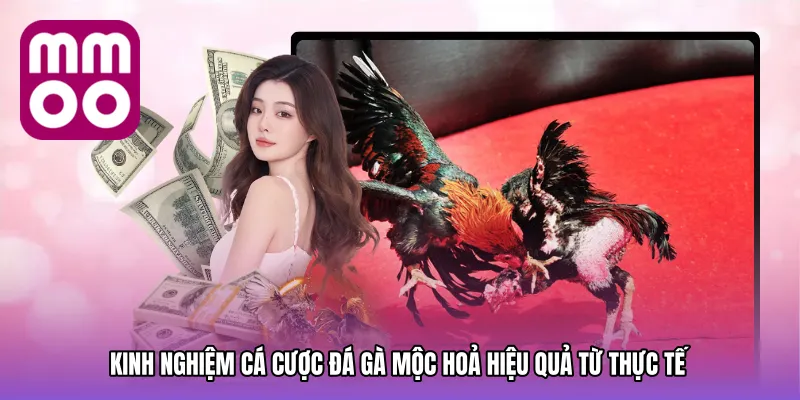 Kinh Nghiệm Cá Cược Đá gà mộc hoả Hiệu Quả Từ Thực Tế