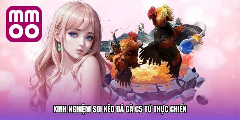 Kinh Nghiệm Soi Kèo Đá gà C5 Từ Thực Chiến