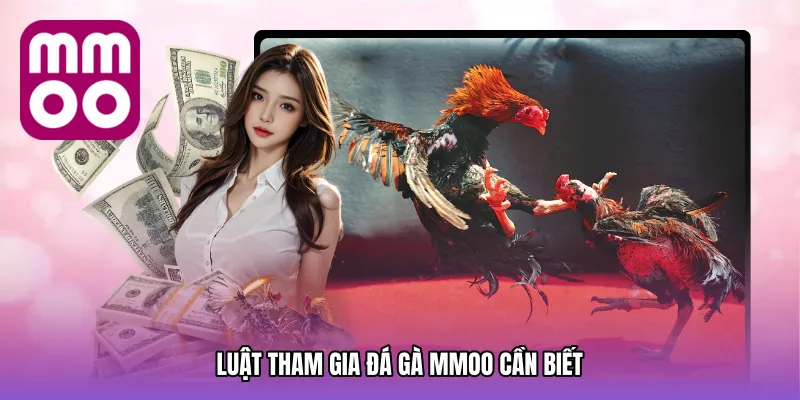 Luật Tham Gia Đá gà MMOO Cần Biết