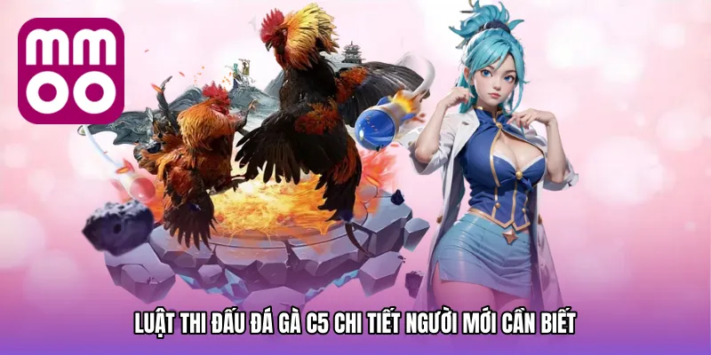 Luật Thi Đấu Đá gà C5 Chi Tiết Người Mới Cần Biết